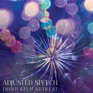 Adjusted Speech - Third Kind Retreat - Rhodamine Cassette